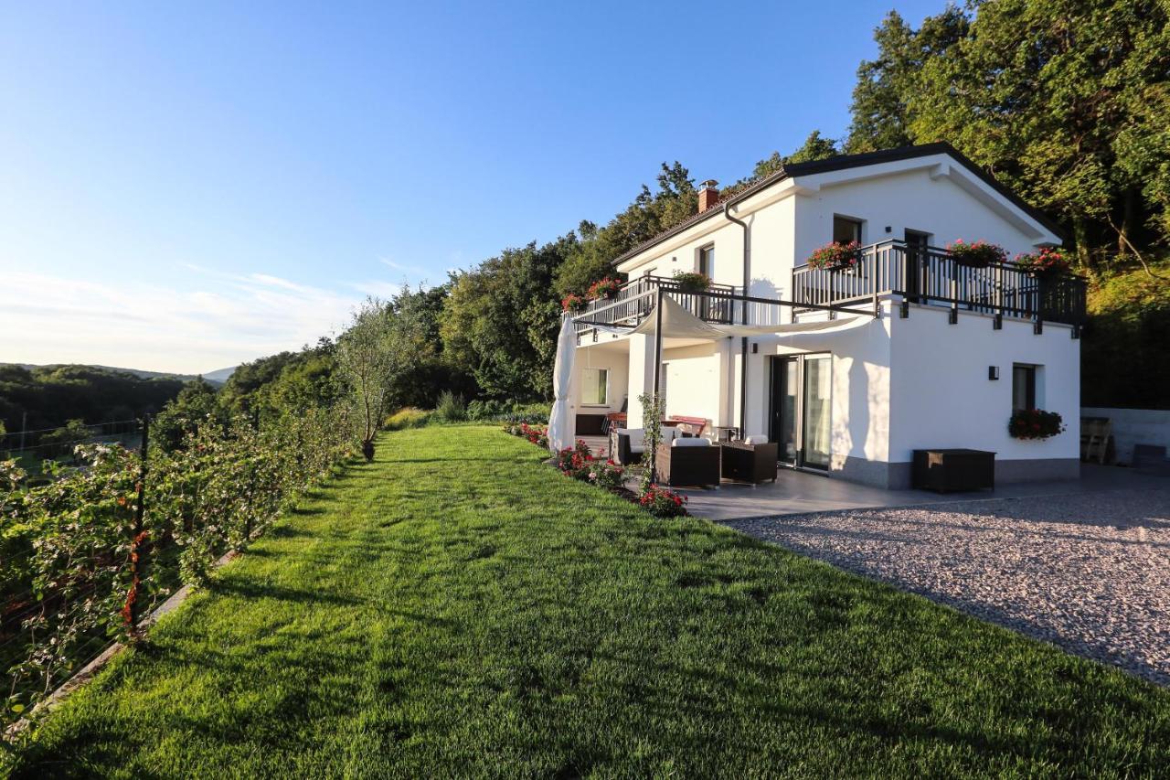 Hisa Dobrega Pocutja Apartman Kozina Kültér fotó